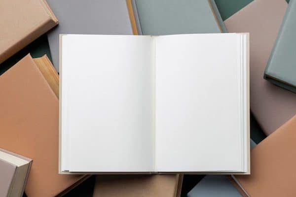 Why Every Consultant Should Write A Book (& How To Do It) With Stacy Ennis: Podcast #258 4 CSP Stacy Ennis | Consultant Book